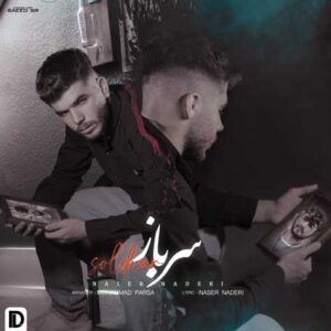 دانلود آهنگ جدید ناصر نادری بنام سرباز