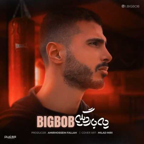 bigbob ye bare dg 2024 11 12 14 36