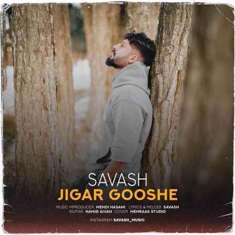 دانلود آهنگ ساواش جیگر گوشه 20 savash jigar gooshe 2024 11 28 12 06
