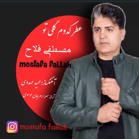mostafa fallah atre kodoom goli to 2024 12 13 18 19