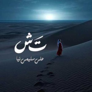 دانلود آهنگ علی سلیمی نیا تش