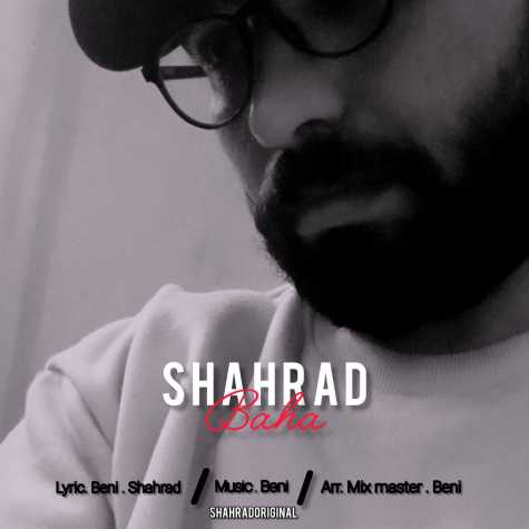 shahrad baha 2025 02 24 11 28