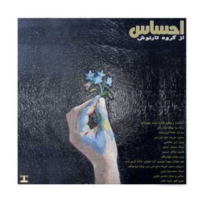 دانلود آهنگ گروه تارنوش احساس