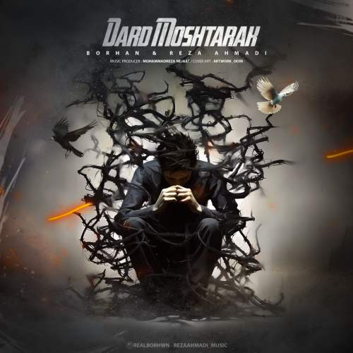 borhan ft reza ahmadi dard moshtarak 2025 08 04 17 10