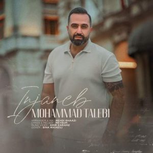 دانلود آهنگ محمدرضا طالبی اینجانب