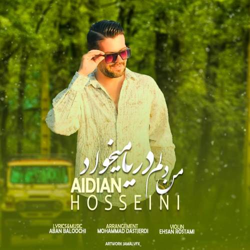 aidin hosseini man delam darya mikhad 2025 09 29 09 55