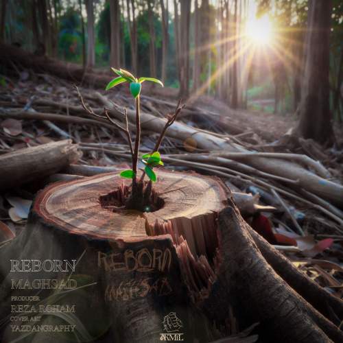 maghsad reborn 2025 09 25 14 55