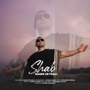 دانلود آهنگ ناصر زینلی شب (ناصر زینعلی)