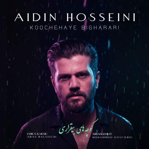 aidin hosseini koochehaye bigharari 2025 11 17 19 05