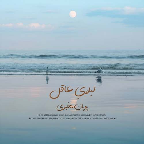 pouyan mokhberi leilaye aghel 2025 11 19 15 30