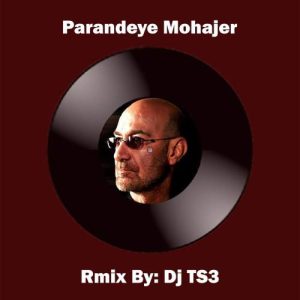 دانلود آهنگ Dj TS3 ریمیکس پرنده مهاجر (سیاوش قمیشی)