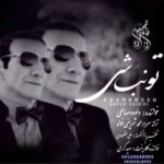 دانلود آهنگ داوود صالحی تو نباشی