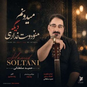 دانلود آهنگ حمید سلطانی میدونم دیگه منو دوست نداری