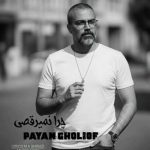 دانلود آهنگ رضا شیخی پور من دیوونم