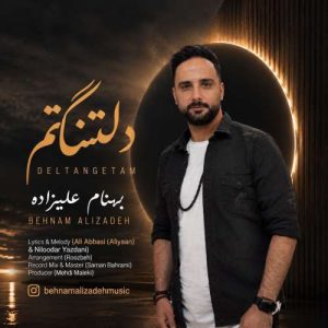 دانلود آهنگ بهنام علیزاده دلتنگم