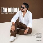 دانلود آهنگ امیر عظیمی دلبستگی