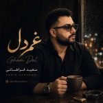 دانلود آهنگ امین حبیبی نمیتونم