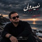 دانلود آهنگ داوود صالحي تو نباشي