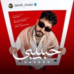 دانلود آهنگ حسن تنها بارون (فیت مانلی)